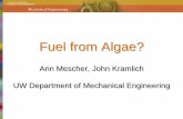 Fuel from Algae? - Class Home Pages - UWEE...2008/11/06  · Fuel from Algae? Ann Mescher, John Kramlich UW Department of Mechanical Engineering Transportation fuel market and emissions