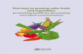 Five keys to growing safer fruits and vegetables: promoting health … · 2019. 10. 25. · 4 FIVE KEYS TO GROWING SAFER FRUITS AND VEGETABLES Target audience The manual is designed