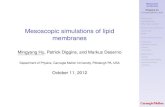 Mesoscopic simulations of lipid membranes - ESPResSoespressomd.org/html/ess2012/Day4/T1-02-mbtools/talk_mb...lipid bilayers from molecular dynamics simulations. Biophys. J. 79, 426-433