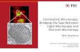Correlative Microscopy: Bridging the Gap Between Light Microscopy and Electron Microscopy · 2020. 8. 3. · Correlative microscopy –characteristics •Examining one and the same