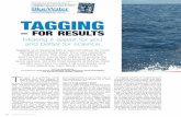 For resulTs · tagging – for results 84 BlueWater Boats & Sportsfishing the shoulder region, but an algae-covered tag placed elsewhere might easily go unnoticed or be dismissed