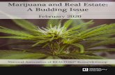 Marijuana and Real Estate: A Budding Issue · 2020. 2. 11. · real estate sector in states where marijuana is legal. This report is a summary of the findings. Two percent of members