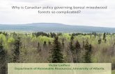 Why is Canadian policy governing boreal mixedwood forests so … · 2018. 4. 13. · 8/28/2015 16 Spruce slowly become dominant . 264 pages Developed over ~50 years Thousands of hours