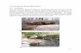 3.5 Lamberton Stream Restoration...3.5-3 Figure 3.5.3 – Black Willow Tree Live Stake Plantings Stabilizing Streambanks within the Lamberton Stream Restoration Project in 2004 The