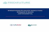 STRENGTHENING PLURALISTIC AGRICULTURAL EXTENSION IN … · 2016. 3. 11. · linkages between the teams and others within the Ministry of Food and Agriculture (MoFA) and across the