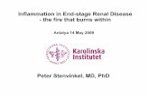 Inflammation in End-stage Renal Disease - the fire that burns … · 2014. 1. 8. · • n=228 prevalent HD-pts H a z a r d r a t i o s f o r ) d e a t h f o l l o ... Is it a risk