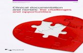 Clinical documentation and nurses: the challenges and ... · 2 Nuance Healthcare Solutions e-Paper Nursing documentation Introduction by Royal College of Nursing 3 Nurse documentation
