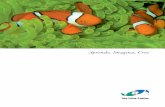 Aprende, Imagina, Cree - Two Little Fishies · 2011. 10. 25. · la afición por la acuariofilia marina. ... del sistema marino. Magnesio es también importante para la operación