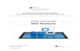 SEO Solutions Client Case Studies · 2020. 2. 14. · SEO SOLUTIONS CLIENT CASE STUDIES YEAR OVER YEAR DATA COMPILED FROM GOOGLE ANALYTICS . 3700 North Sheffield Suite 2 Chicago,