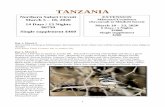 TANZANIA - Cheepers! AFRICA!...Single supplement $460 EXTENSION Mkomazi/Usambara (Savannah to Mistbelt forest) March 18 – 23, 2020 6 Days / 5 Nights $2800 Single supplement $280