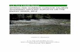 Spring and Summer Chinook Salmon · 2018. 4. 11. · On the cover: Spring Chinook salmon redd in the Entiat River located within reach 1 (rm 28.1- 25.8) on August 13, 2012. USFWS