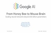 From Honey Bee to Mouse Brain - GitHub PagesOutrageously Large Neural Networks: The Sparsely-Gated Mixture-of-Experts Layer, Shazeer et al. ICLR 2017 Stats 285 Stats 285 A/Compute