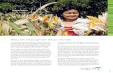 Rosalie Ellasus Nông dân San Jacinto, Phi-líp-pincroplifevietnam.org/.../06/25-Philippines-Ellasus-VN.pdf · 2016. 7. 8. · Nông dân trồng ngô biến ˛ổi gen tiêu biểu