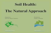 Soil Health: The Natural Approach - Etobicoke Master Gardeners€¦ · The Natural Approach. Etobicoke Master Gardeners Humber Arboretum 2 •Soil •What is it made of •What does
