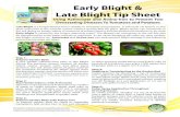 Early Blight & Late Blight Tip Sheet - Hydroponics · 2014. 8. 21. · Early blight is caused by the fungus Alternaria solani. The disease can overwinter in the soil but also be transported