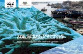 New THE CORAL TRIANGLE AND CLIMATE CHANGE · 2009. 5. 8. · Triangle. Rapid changes in the Earth’s climate are now also beginning to affect the terrestrial and marine ecosystems