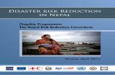NRRC: Disaster Risk Reduction in Nepal Flagship Programmes · 2011. 4. 20. · Table 7: Development of Model Local Level Disaster Risk Management Practice in Nepal 58 ANNEX 1 Composition