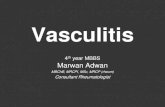 Vasculitis - Doctor 2015 - JU Medicine...Vasculitis pearls 1. GCA is the most common vasculitis 2. Secondary vasculitis is more common than primary vasulitis 3. In GPA, the lung infiltrates