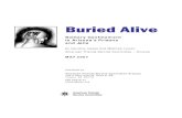 Buried Alive FINAL - David's Hopedavidshopeaz.org/resources/Buried_Alive.pdfBuried Alive: Solitary Confinement in Arizona’s Prisons and Jails 5 dormitory living, intense program