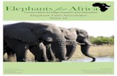 Elephant Tales Newsletter Issue 16...Elephant Tales Newsletter Issue 16 March 2012 Registered Charity no. 1122027 info@elephantsforafrica.org Dr Kate Evans 22 Claremont Road On 1st