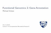 Functional Genomics 2: Gene Annotationschatz-lab.org/biomedicalresearch2019/lectures/14.genefinding.pdf · Functional Genomics 2: Gene Annotation Michael Schatz Oct 16, 2019 Lecture