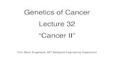 Genetics of Cancer Lecture 32 “Cancer II”web.mit.edu/7.03/documents/CancerII-703Fall06Lecture32...Genetics of Cancer Lecture 32 “Cancer II” Prof. Bevin Engelward, MIT Biological