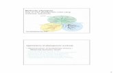 Molecular phylogeny How to infer phylogenetic trees using …bio.lundberg.gu.se/courses/ht10/bio2/molphylo_2010_part2... · 2011. 8. 8. · 1 Molecular phylogeny How to infer phylogenetic