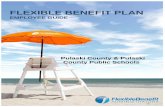 FLEXIBLE BENEFIT PLAN · the most of the advantages the Flexible Benefit Plan offers. ... • Carpal tunnel wrist supports ... • The following items are examples of products that