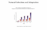Natural Selection and Adaptationsnuismer/Nuismer_Lab/314...Natural Selection and Adaptation McGeer and Low.CMAJ 1997;157:1703-4 The evolution of penicillin resistance in Streptococcus