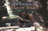 Nevada’s BBLLAACCKK BBEEAARR · 2013. 7. 23. · game animals in Nevada (NRS 501.046 and NAC 503.020), and have been offered protection as such since 1929 (McQuivey 1995). However,