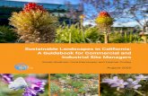 Sustainable Landscapes in California: A Guidebook for ......Hopkins University. Cora Kammeyer Cora Kammeyer is a Research Associate at the Pacific Institute. At the Institute, she