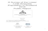 A Survey of the Lower Limb Amputee Population in Scotland 2016 · 2019. 8. 12. · 1 Public A Survey of the Lower Limb Amputee Population in Scotland 2016 Report SPARG Scottish Physiotherapy