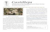 Publication of the Wyoming Native Plant Society · 2016. 12. 20. · Castilleja Publication of the Wyoming Native Plant Society December 2016, Volume 35(4) Now posted at Above: Abronia
