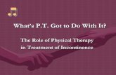What’s P.T. Got to Do With It?...• Retrograde ejaculation • Incontinence – rare