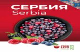 Serbia · 2020. 2. 21. · • white yoghurt • fruit yoghurt • functional yoghurt • white cheese (feta type) • chocolate milk • sour cream • sour milk Export markets: