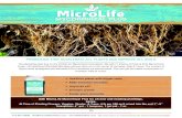 MYCORRHIZAL PLUS - Microlife Fertilizer...MicroGro Mycorrhizal Bio-Inoculation specifications: Each blended pound will contain 150,000 Mycorrhizal Propagules and 1,600,000 billion