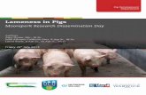 Teagasc | Agriculture and Food Development Authority · 2019. 6. 25. · pig results in the loss of carcass value and imposes carcass disposal costs in addition to the actual euthanisation