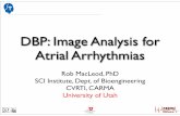 DBP: Image Analysis for Atrial Arrhythmias · • MIT: Robust atlas-based segmentation of highly variable anatomy: left atrium segmentation, Depa, et al., Statistical Atlases and