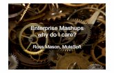 Enterprise Mashups: Why do I care?€¦ · Management System Relational Database Data APIs Search Engine Search data ... Tomcat, Tcat, (Mule) iBeans Runtime Channels: HTTP, SMTP,