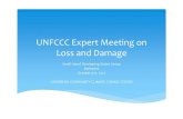 UNFCCC Expert Meeting on Loss and Damage...SLindo, CCCCC Displaced persons • Over 100,000 people displaced (8% of population in Suriname, 5% of The Bahamas, 3% Belize) Agriculture