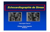 ECHOGRAPHIE DE STRESS - cif-bordeaux.fr. echographie de... · 2017. 9. 6. · Echo de Stress : ConclusionsEcho de Stress : Conclusions • Méthodologie bien rodée • Nombreuses