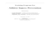Analysis:  · Web viewTraining Program For. Athlete Injury Prevention. Submitted by: Cassia Hameline – Problem Expert and Analysis. DeBorah Little – Development and Implementation