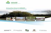 County Court SNAP · 2018. 10. 17. · Management Retrofit Study (2003), retrofit of the local Upper Nine SWM pond is a key component of the County Court SNAP. Through neighbourhood