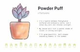 Powder puffTitle Powder puff Created Date 2/20/2018 10:01:15 PM