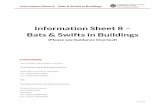 Information Sheet 8 Bats & Swifts in Buildings · 2015. 12. 3. · Information Sheet 8 – Bats & Swifts in Buildings Dec-15-DI Information Sheet 8 – Bats & Swifts in Buildings