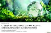 Key learnings on cluster internationalization models · POLAND UKRAINE LITHUANIA UKRAINE LATVIA. ... New advanced materials and packaging focusing on safe, intelligent, environment-