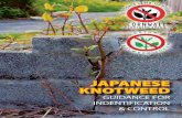 JAPANESE KNOTWEED - Cornwall Councilthe most effective available method in many circumstances. Is it safe to use herbicide on the site and are you happy to use it? DIG All material,