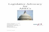 New Legislative Advocacy for AHECs 2004 - National AHEC …dev.nationalahec.org/MembersOnly/documents/Advocacy... · 2006. 5. 31. · Legislative Advocacy for AHECs Charles G. Huntington,