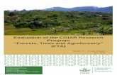 Evaluation of the CGIAR Research Program “Forests, Trees ......Closed Comment 3 Please enter your job title within your home organization (if you also have an FTA-related job title,