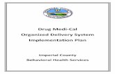 Drug Medi-Cal Organized Delivery System Implementation Plan · 2017. 4. 18. · Drug Medi-Cal Organized Delivery System Implementation Plan Imperial County 2 P A R T I - P L A N Q